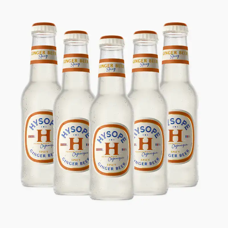 Cette image réprésente le pack de 6 Ginger Beer Hysope.