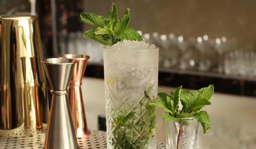 7 idées de cocktails à base de gin pour surprendre vos invités