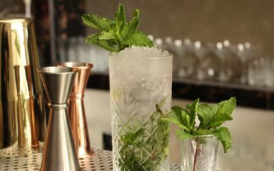 7 idées de cocktails à base de gin pour surprendre vos invités