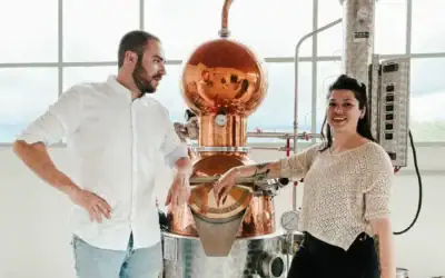 Distillerie aprilis : sapinette, gentiane et gin bio d’exception