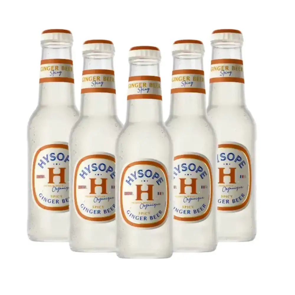 Pack de Ginger Beer bio Hysope – boisson artisanale française pétillante et épicée