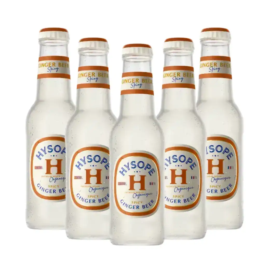Pack de Ginger Beer bio Hysope – boisson artisanale française pétillante et épicée