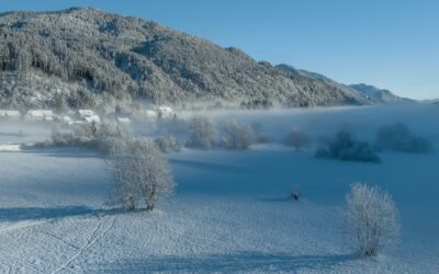 Activité Annecy hiver : découvrez 5 expériences chaleureuses signées Chasarose