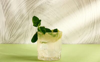 Basil Smash Cocktail : Réussir la Recette au Gin (Sans Pilonner)